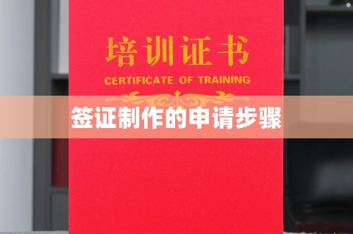 曲周签证制作的申请步骤