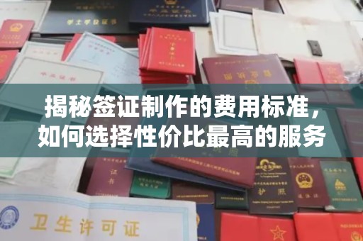 曲周揭秘签证制作的费用标准，如何选择性价比最高的服务？