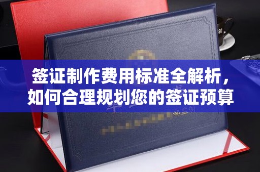 曲周签证制作费用标准全解析，如何合理规划您的签证预算？